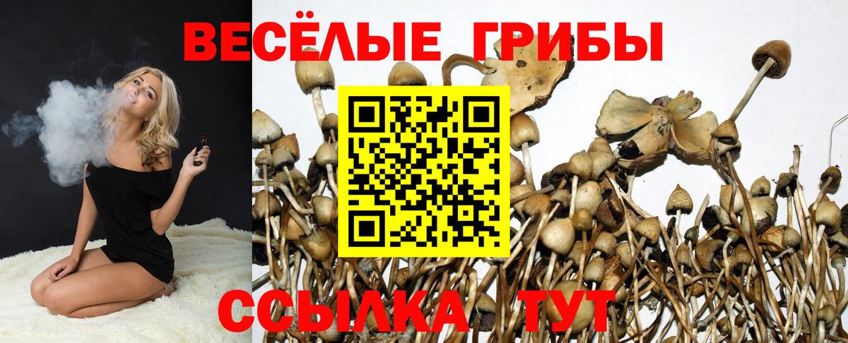 Татарск  Галлюциногенные грибы прущие грибы  Вход с VPN  Псилоцибиновые грибы MAGIC MUSHROOMS 